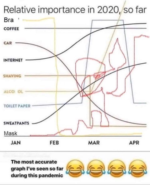 Chart of 2020 Relative Importance 